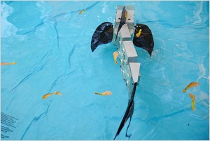 Underwater robots