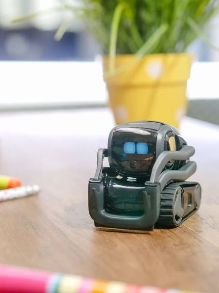 black miniature on wooden surface -cozmo toy