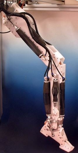 A robotic leg powered by air muscles